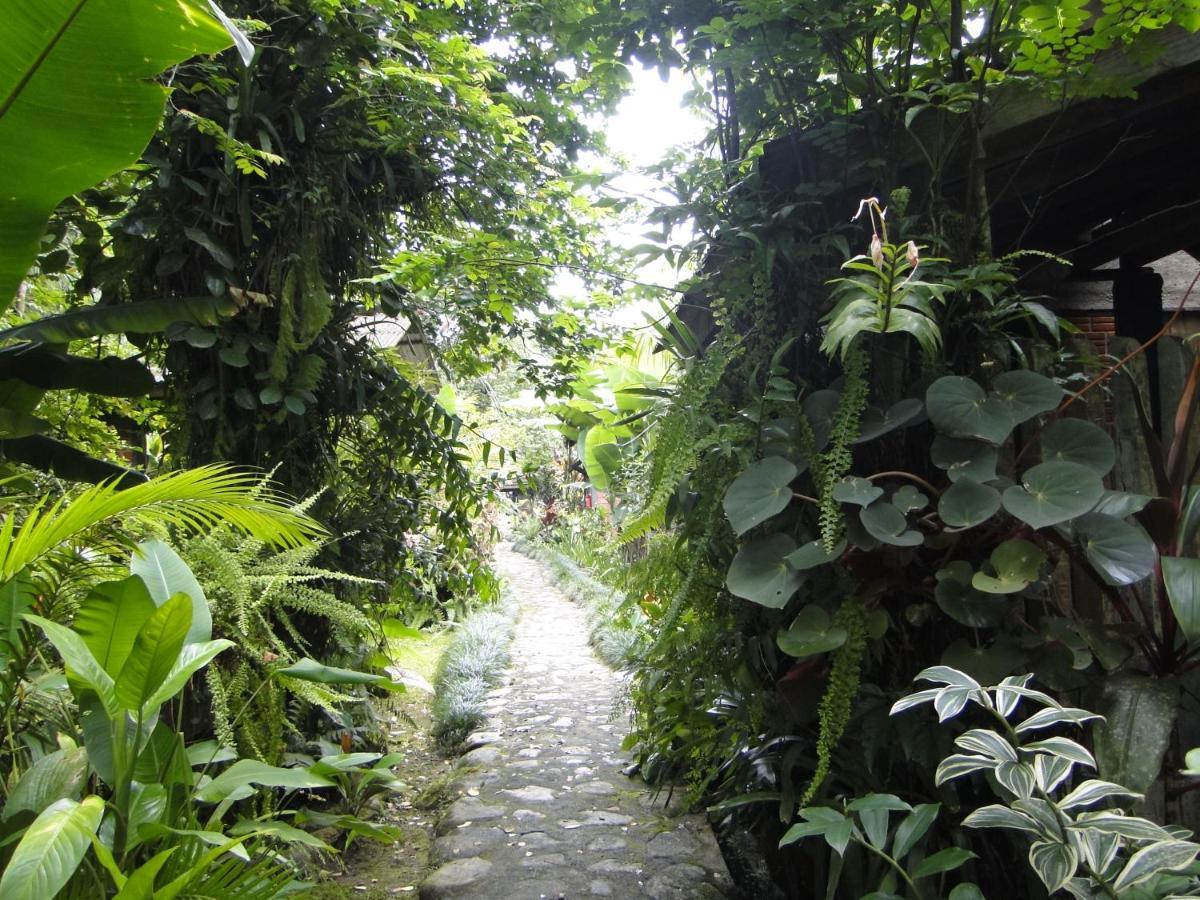 Pousada Do Oasis Morretes Exterior photo