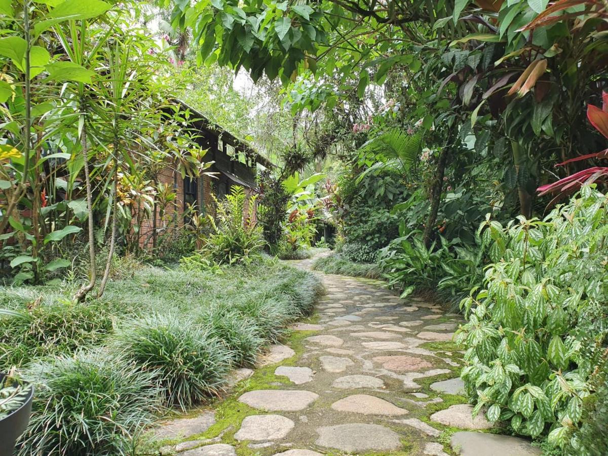 Pousada Do Oasis Morretes Exterior photo